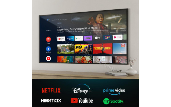 CECOTEC VQU10050 - Mise en situation