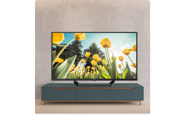 CHIQ L42G6F - Mise en situation (avec pied)