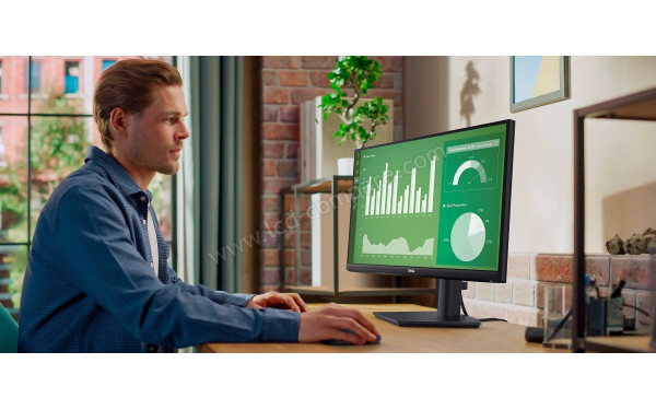 DELL E2424HS - Mise en situation