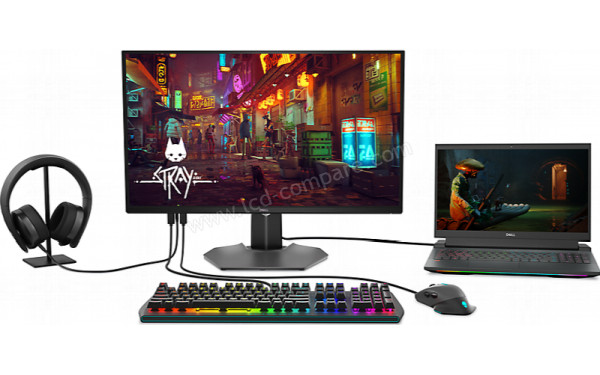 DELL G3223Q - Mise en situation