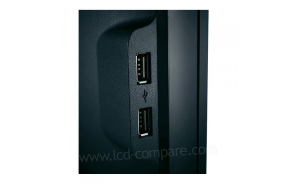 DELL P2312H - Zoom sur le c&ocirc;t&eacute; - prises USB