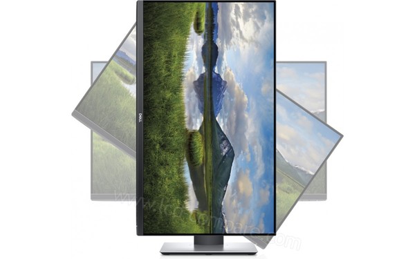 DELL P2319H - Vue inclinaison portrait