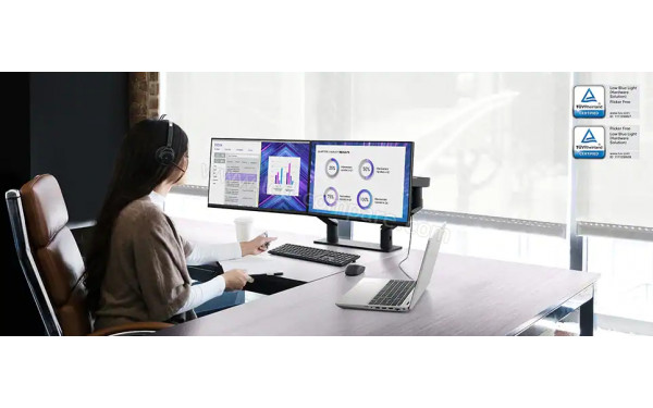 DELL P2422HE - Mise en situation