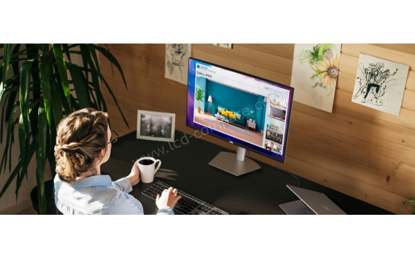 DELL S2721DS - Mise en situation