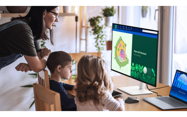 DELL S3225QS - Mise en situation