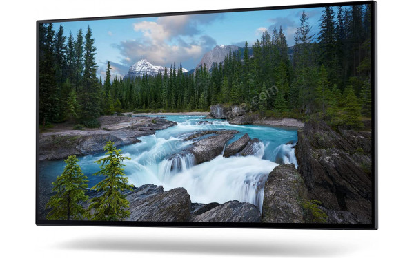 DELL U2422H - Vue de face sans support