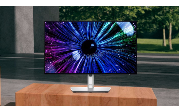 DELL UltraSharp U2424HE - Mise en situation