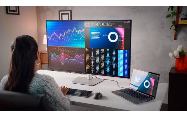 DELL U4323QE - Mise en situation