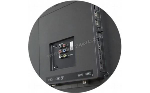 EDENWOOD ED65D00UHDOLED-VE - Connectiques