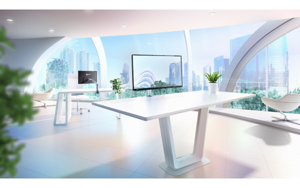 EIZO FlexScan FLT - Mise en situation