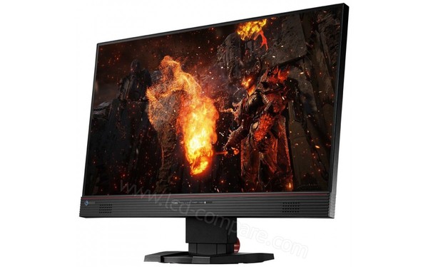 EIZO Foris FS2434-BK - Vue 3/4 droite