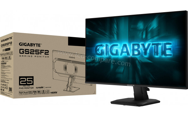 GIGABYTE GS25F2A - Package