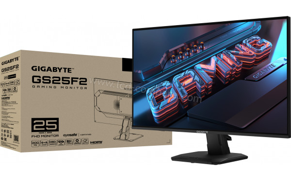GIGABYTE GS25F2 - Package