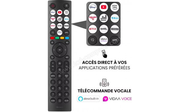 HISENSE 100E7NQ - T&eacute;l&eacute;commande