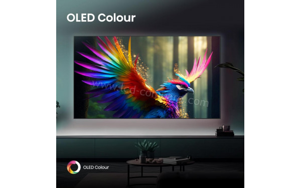 HISENSE 65A86Q - Mise en situation