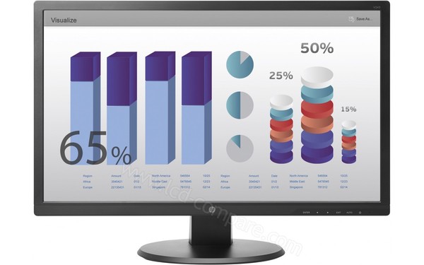 HEWLETT PACKARD HP V243 - Vue de face