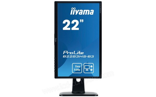 IIYAMA ProLite B2283HS-B3 - Mode portrait
