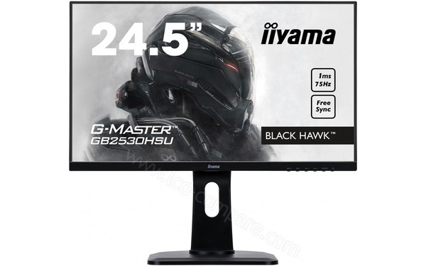 IIYAMA G-Master GB2530HSU-B1 - Vue de face
