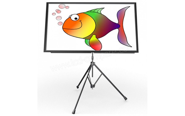 IIYAMA ProLite X2799WQ8U-B1 - Poisson d'Avril