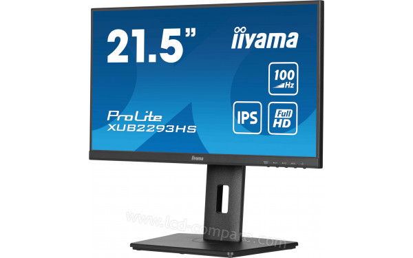 IIYAMA ProLite XUB2293HS-B6 - Vue 3/4 droite