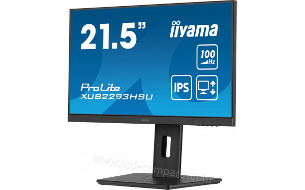 IIYAMA ProLite XUB2293HSU-B6 - Vue 3/4 droite