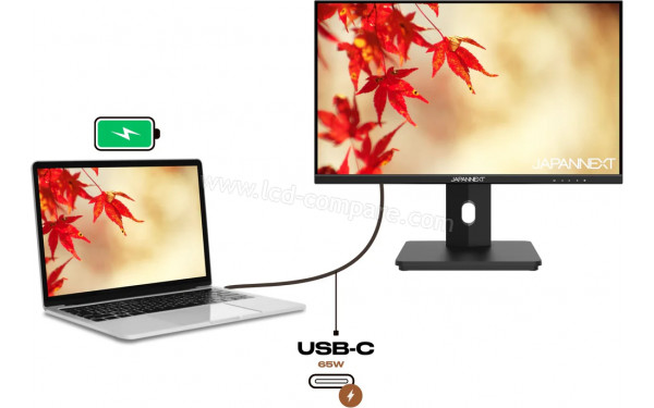 JAPANNEXT JN-I215FLFHSP-C65W - Mise en situation