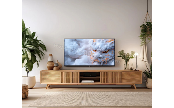 JAPANNEXT JN-i432TUR - Mise en situation