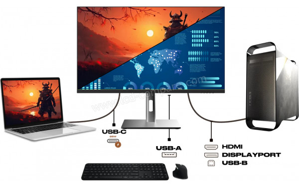 JAPANNEXT JN-IPS24X500FR-H-C6 - Mise en situation