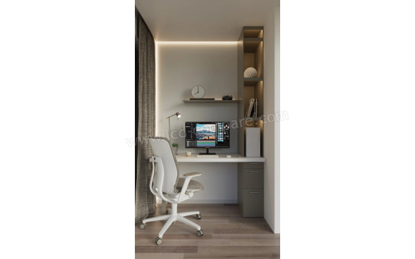 JAPANNEXT JN-IPS2802UHDR - Mise en situation