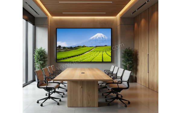 JAPANNEXT JN-IPS550UHD60F - Mise en situation