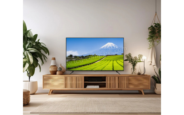 JAPANNEXT JN-IPS550UHD60F - Mise en situation