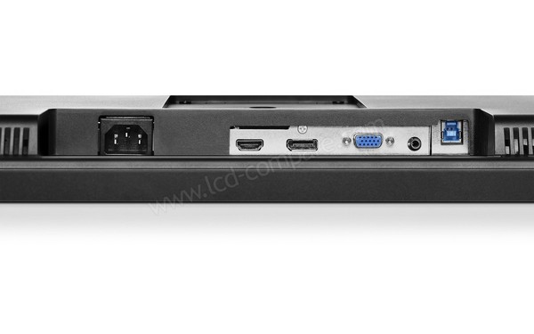 LENOVO T2224p - Connectique