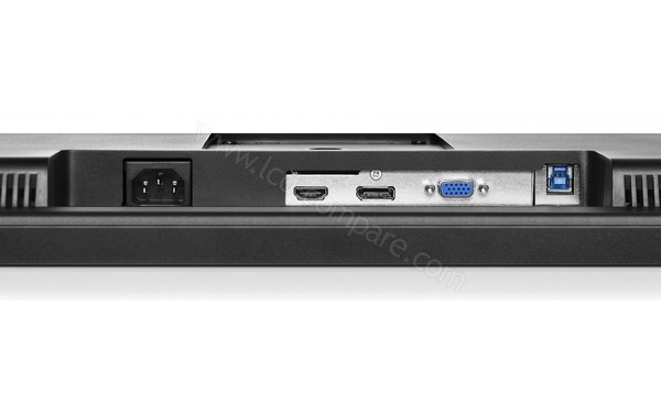 LENOVO ThinkVision T2224z - Connectique