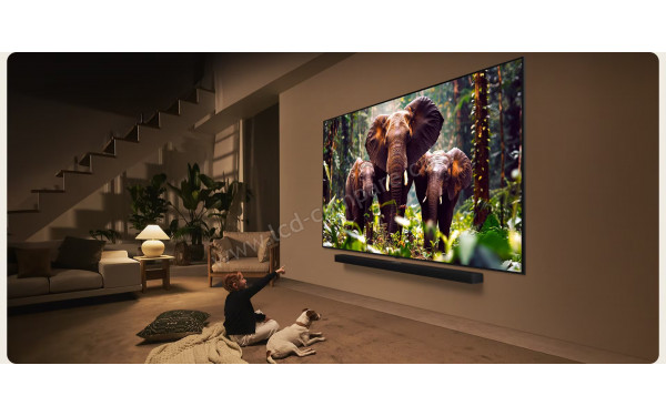 LG 100QNED86A - Mise en situation