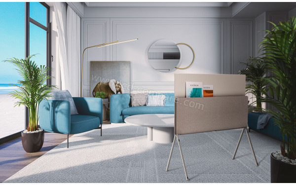 LG 55LX1 - Mise en situation