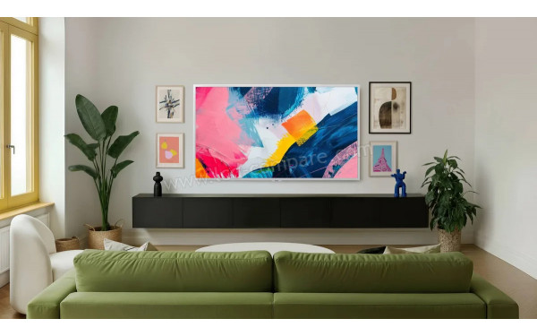 LG 55LX7B - Mise en situation