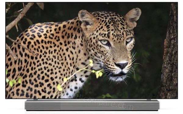 LG 65EF980V - Vue de face