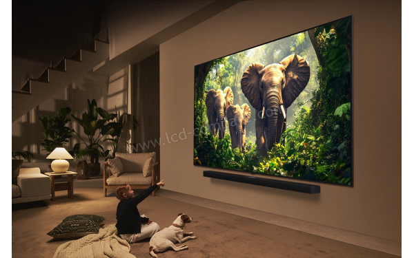 LG 65QNED85A - Mise en situation