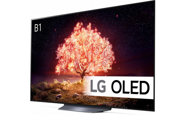 LG OLED65B13LA - Vue 3/4 droite