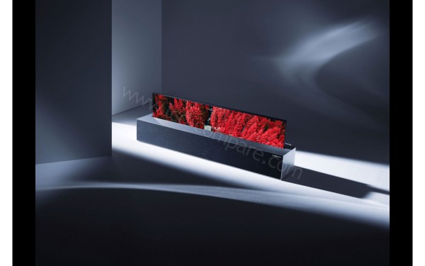 LG OLED65R9 - Mise en situation n&deg;2