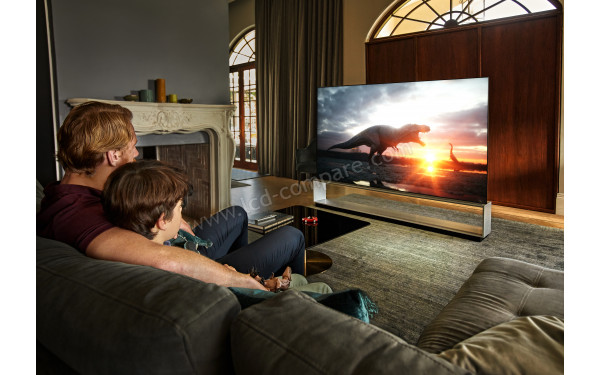 LG OLED88ZX - Mise en situation