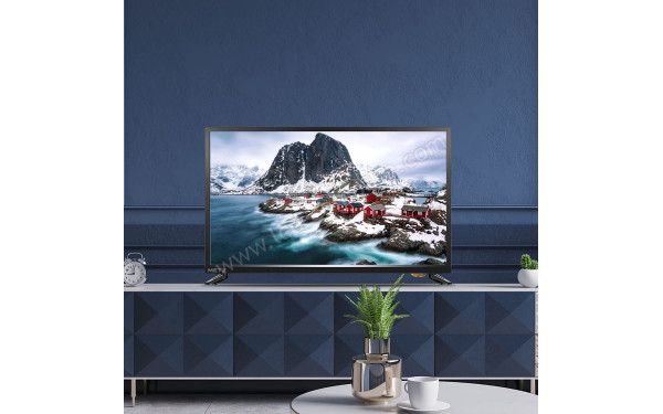 METZ 24MTD1000Z - Mise en situation