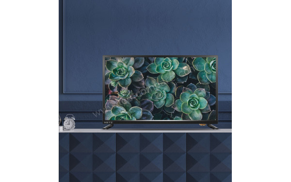 METZ 24MTD1000Z - Mise en situation