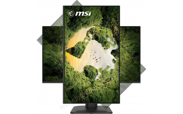 MSI PRO MP275PGN E14 - Multi-vues