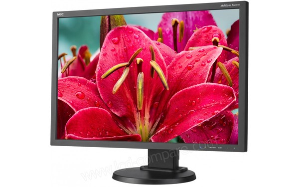 NEC MultiSync E245WMi-BK - Vue 3/4 droite