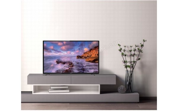 OCEANIC OCEALED3219B2 - Mise en situation