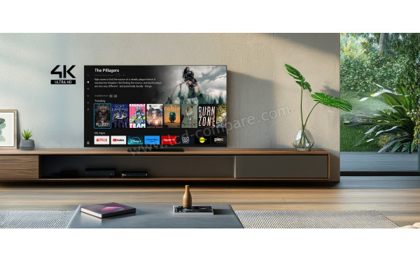 PANASONIC TB-43W61AEZC - Mise en situation
