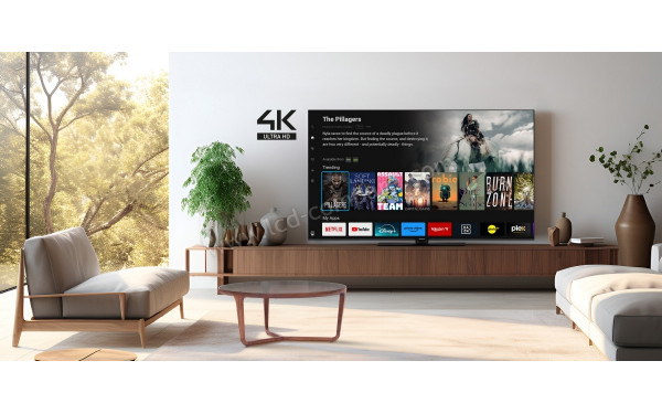 PANASONIC TB-55W60AEZ - Mise en situation