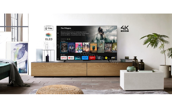 PANASONIC TB-65Z60AEG - Mise en situation