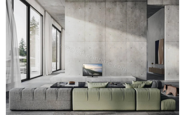 PANASONIC TV-42Z90BE6 - Mise en situation